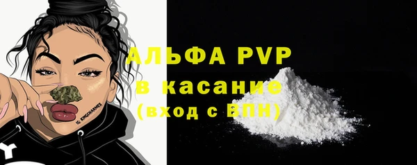 сатива Арсеньев