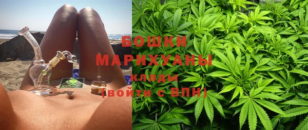 сатива Арсеньев