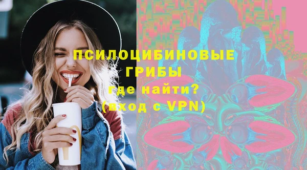 сатива Арсеньев