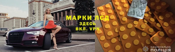 сатива Армянск