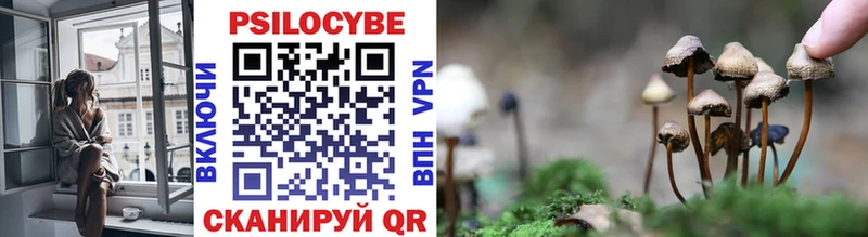 Галлюциногенные грибы Psilocybine cubensis  Верхотурье 